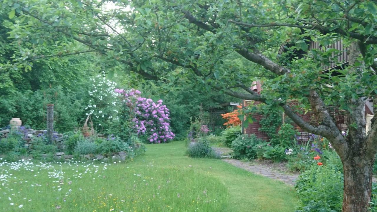 Landhaus Bernecker, Bay.W. Rinchnach Extérieur photo